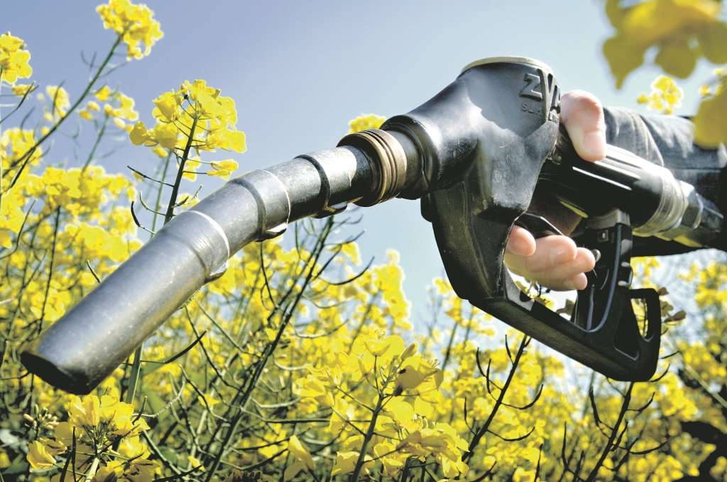 Ukrainos revoliucija nutolino ES biodegalų perversmą 