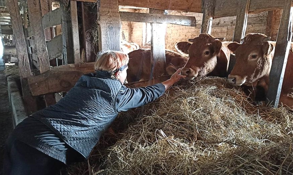 Ūkininkų „karai“ Kupreliškyje: rūpestis gyvulių gerove ar pavydas dėl senų fermų?