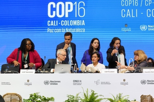 COP16