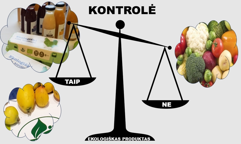 Ekologiškų produktų gamybos kontrolės specialistė apie nematomą kontrolės pusę