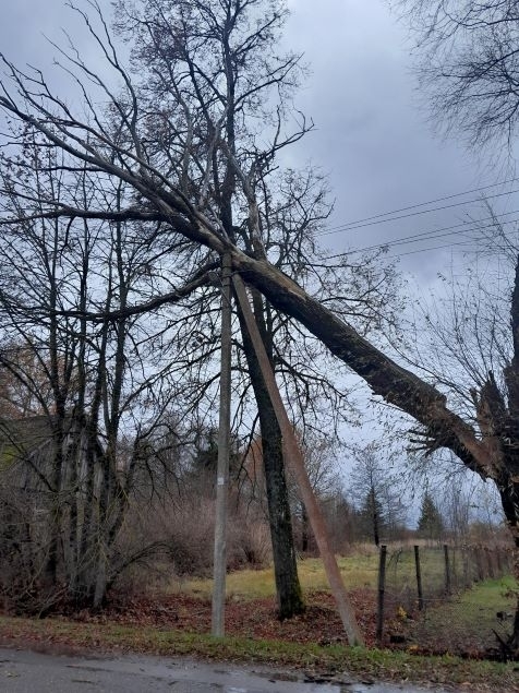 Skaičiuojami savaitgalio audros nuostoliai