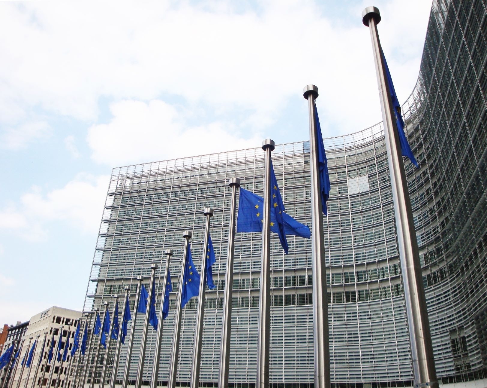 Dėl situacijos pieno rinkoje europarlamentaras kreipėsi į Europos Komisiją