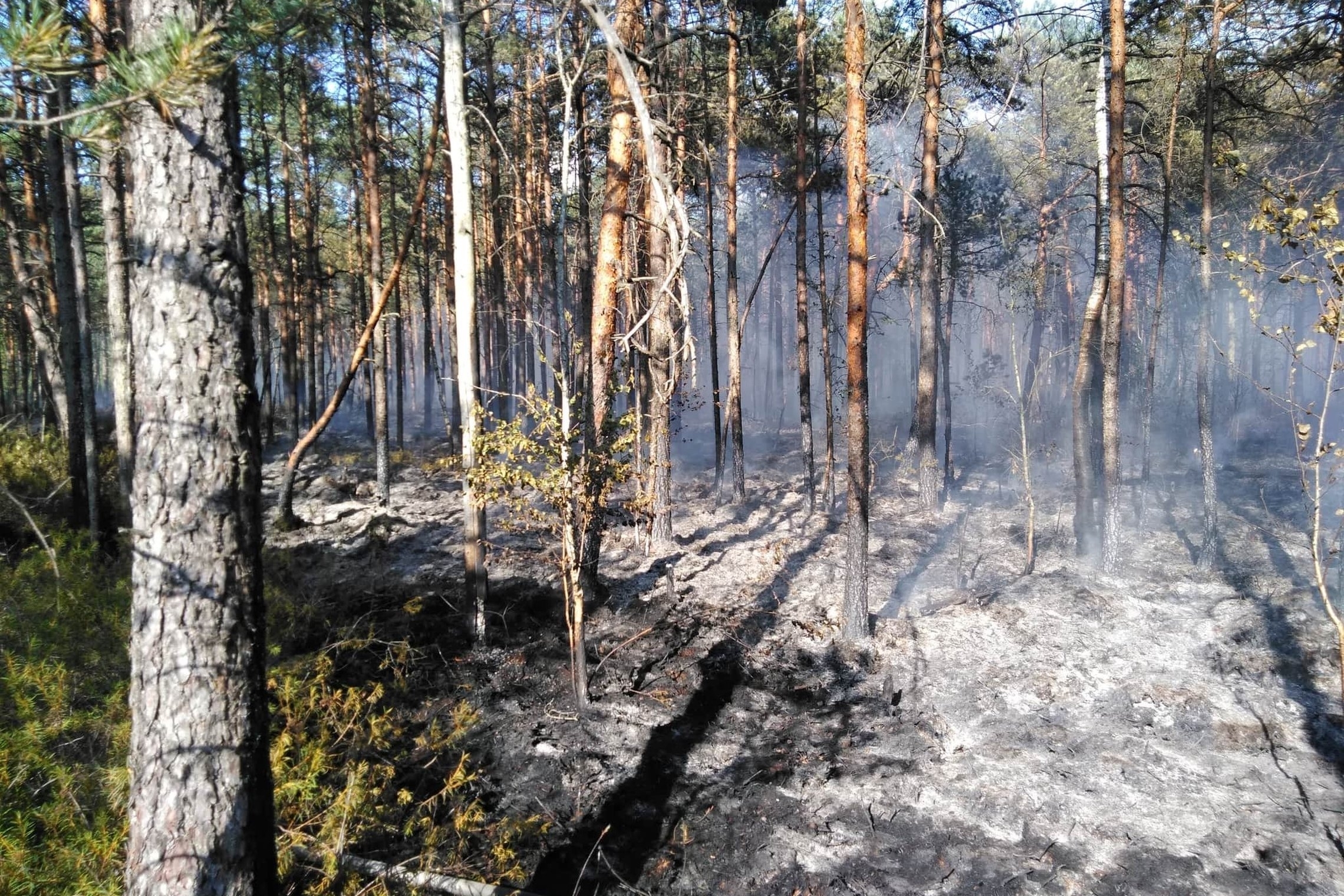 Savaitgalį žaibas padegė angaro stogą, degė miškai, ugniagesiai iš vandens telkinių ištraukė tris nuskendusius žmones