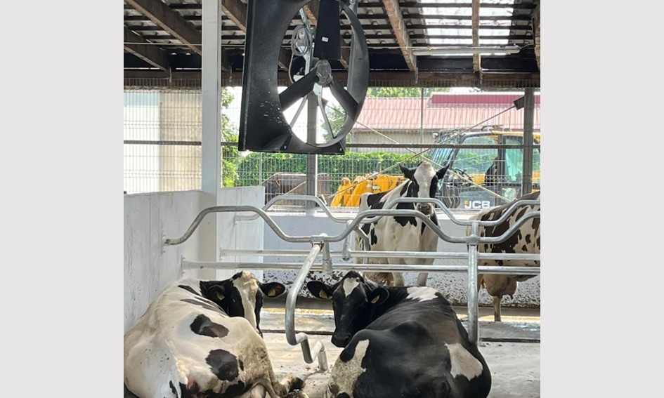 Inovatyvios technologijos melžiamų karvių patiriamam karščio stresui nustatyti