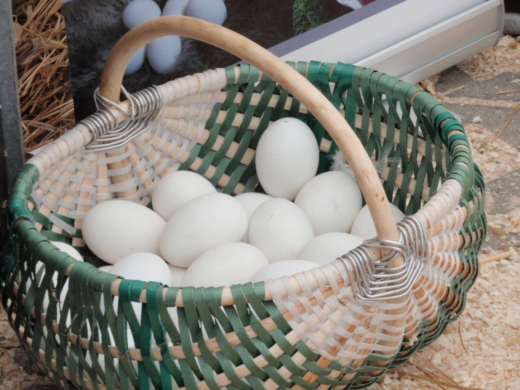 K. Navickas: kiaušinių, vištienos, jautienos eksporto leidimai į Saudo Arabiją – netrukus