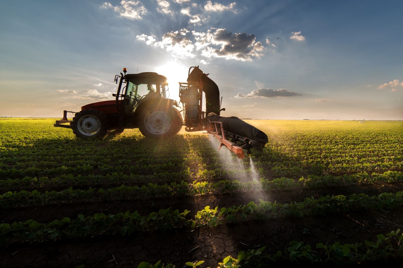 EFSA: tyrimai rodo mažą pesticidų likučių kiekį maiste ES šalyse