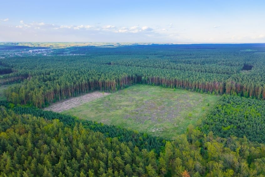 INVL miškų ir žemės fondas papildomai pritraukė 1,3 mln. eurų