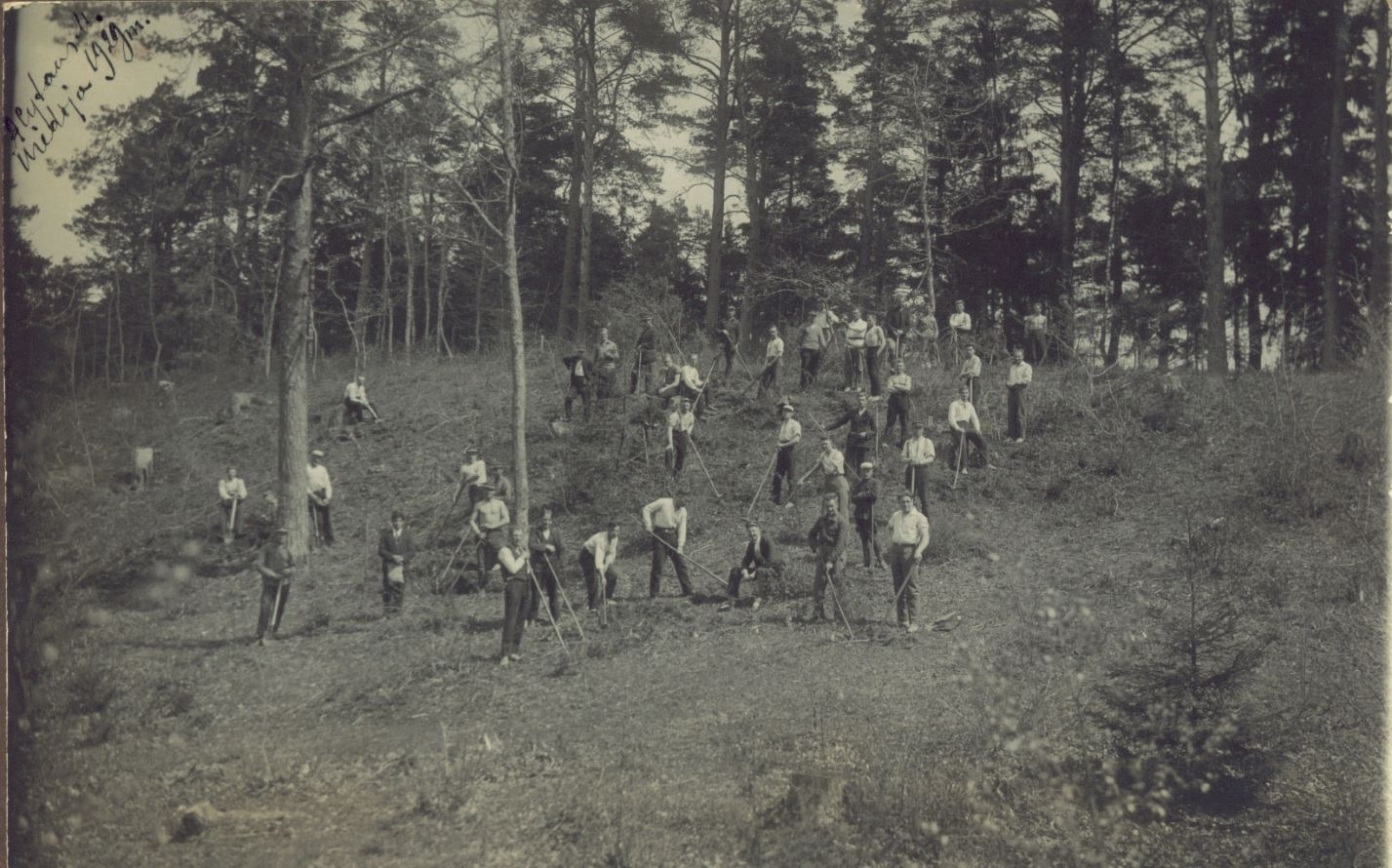 Miško atkūrimo ir įveisimo raida Lietuvoje per praėjusį šimtmetį