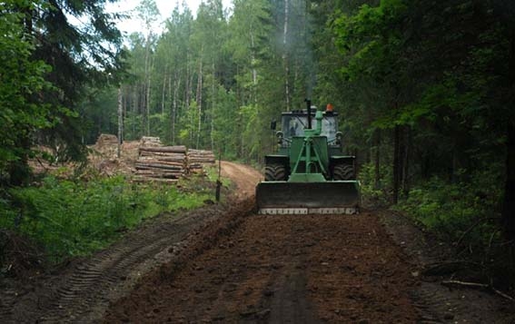 Miško kelių priežiūrai ir remontui – daugiau kaip 11 mln. Eurų
