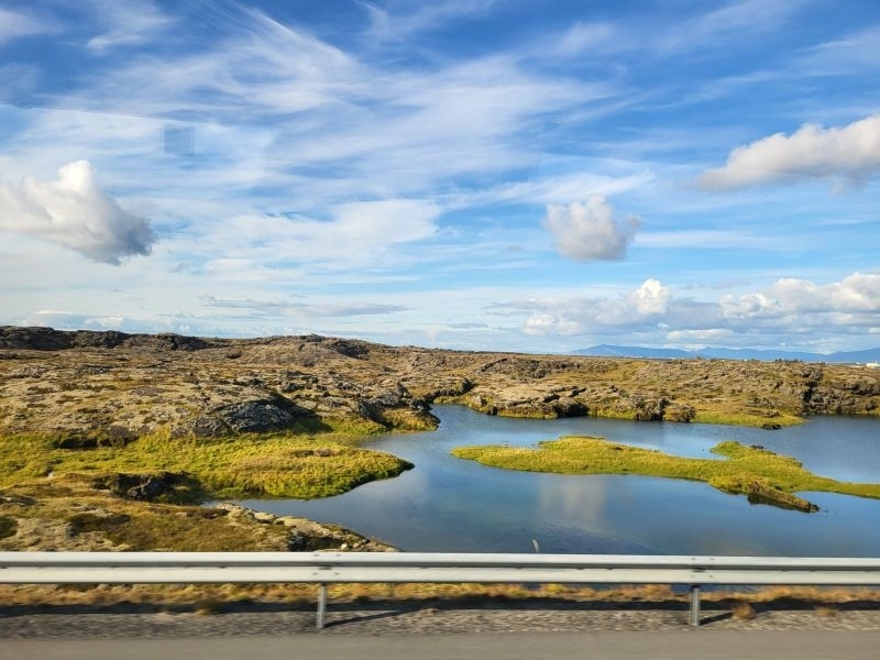 Šalių susitikimas Islandijoje: „Kažkada visas maistas buvo ekologiškas“