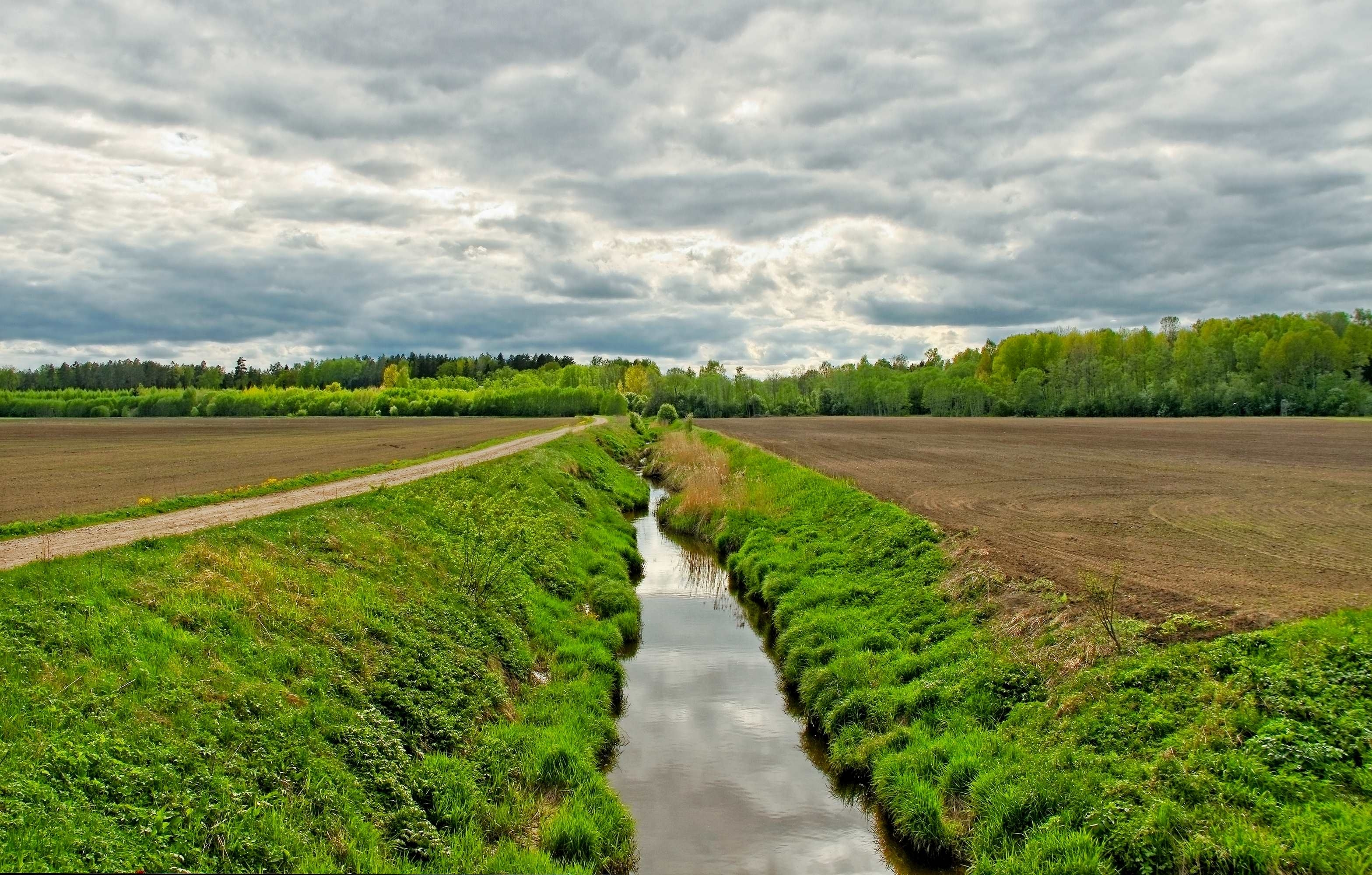 Žaliasis pagriovių marazmas