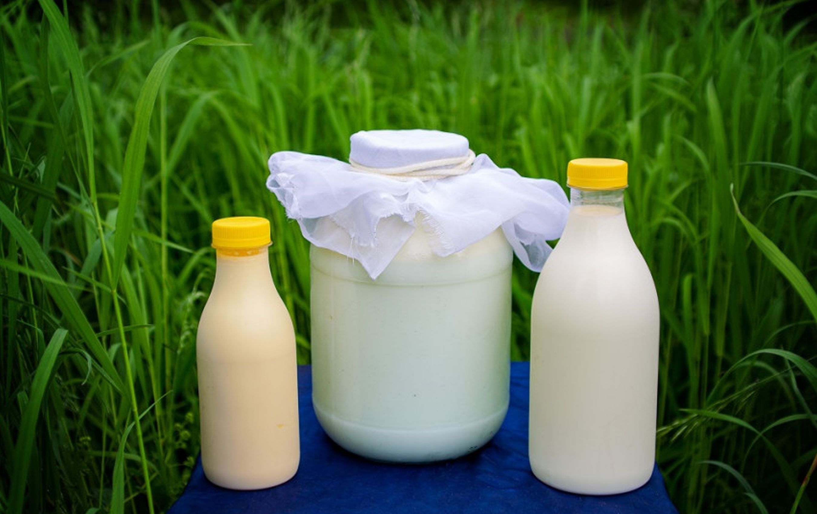 Šviesi pieno ūkių ateitis – kol kas tik deklaracijose