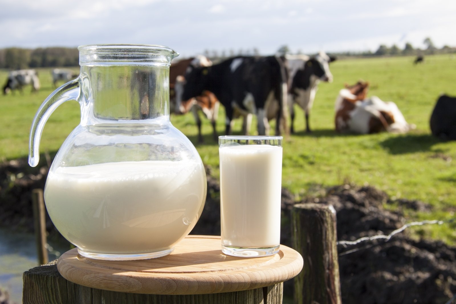 Pieno ūkiams – laikinas atokvėpis