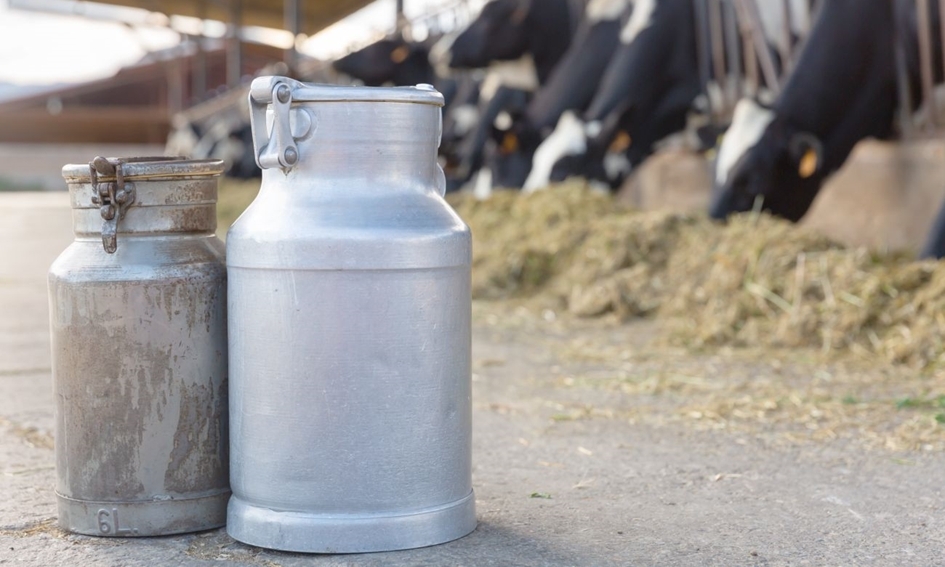 Lenkijos pieno gamintojus atstovaujanti taryba ragina gelbėti besitraukiantį sektorių