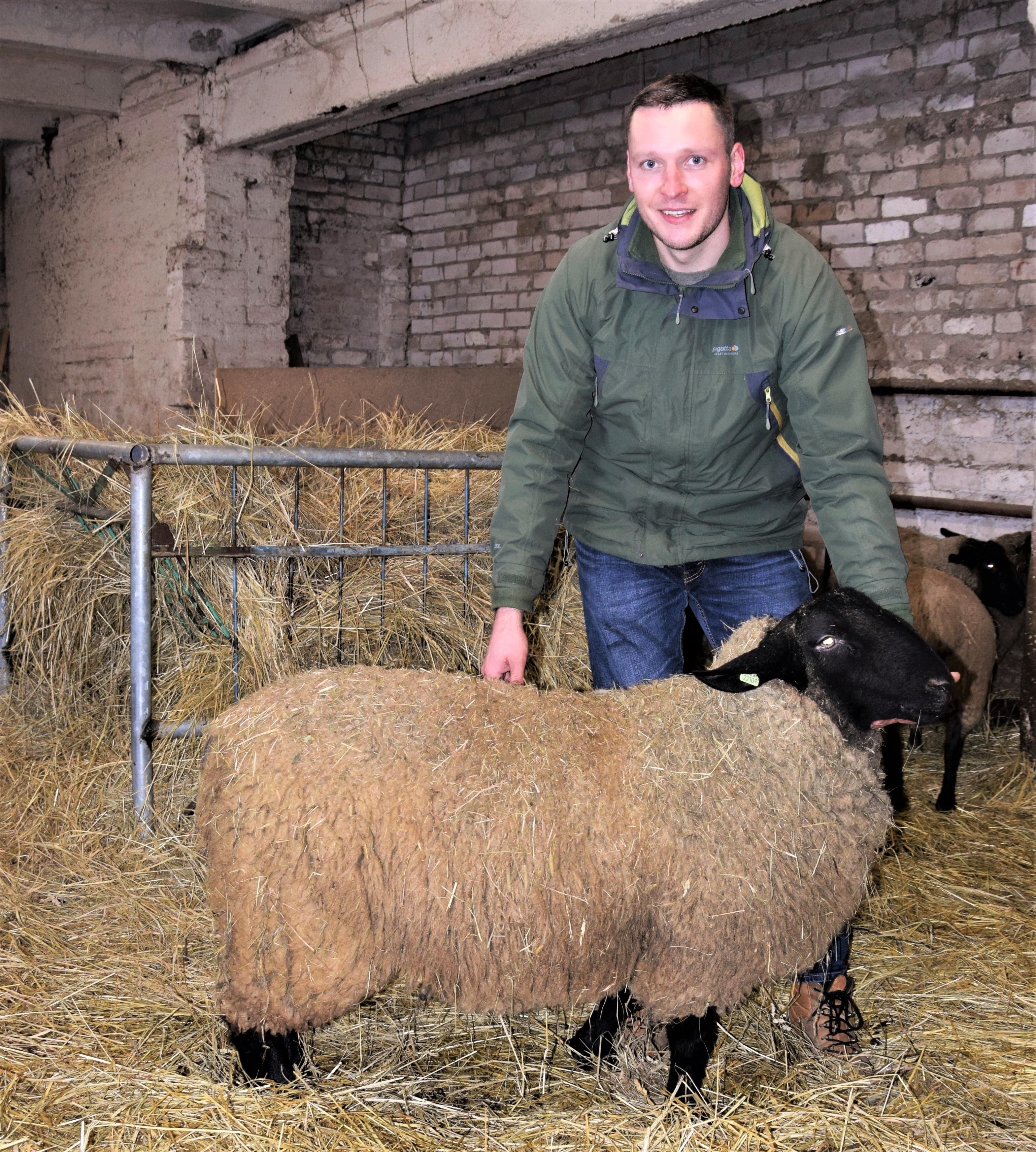Jaunojo ūkininko avininkystės ūkio prioritetas – kokybė
