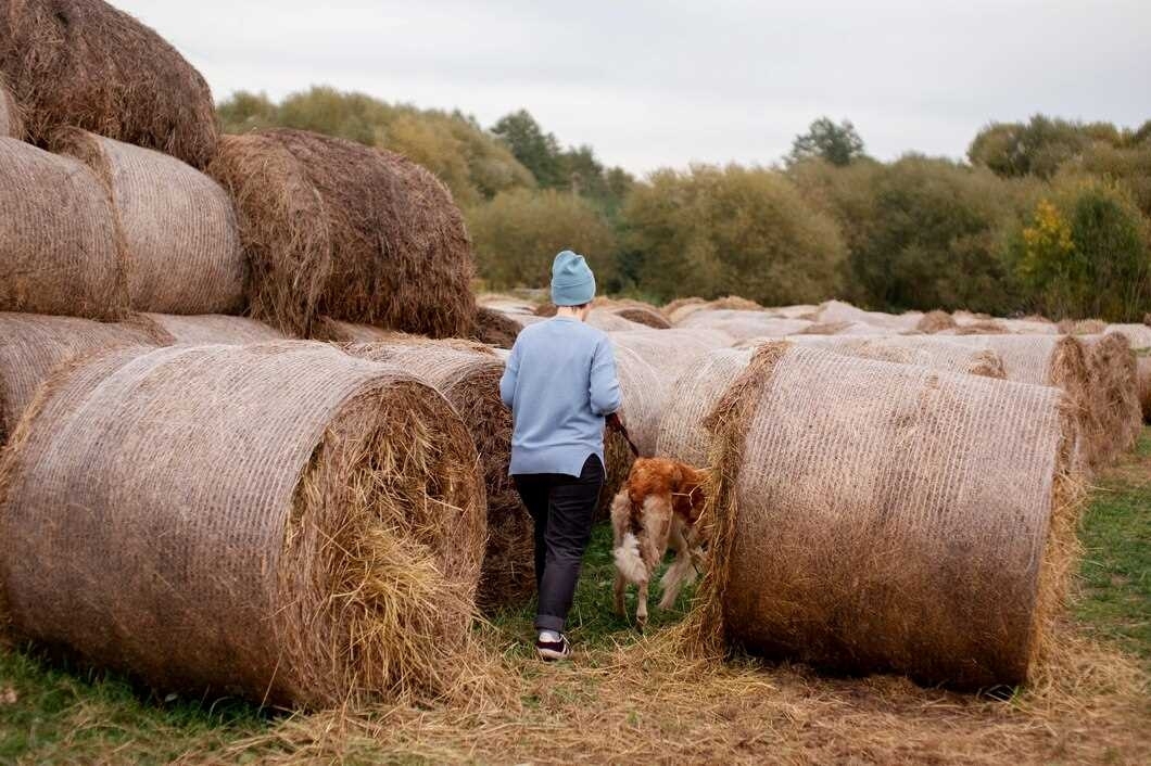 Lenkams skubiai reikia nemokamų degalų