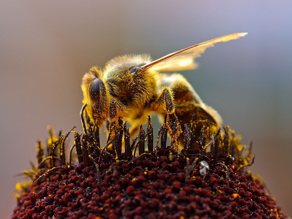 Sveikata nuo pirmo žingsnio į bityną