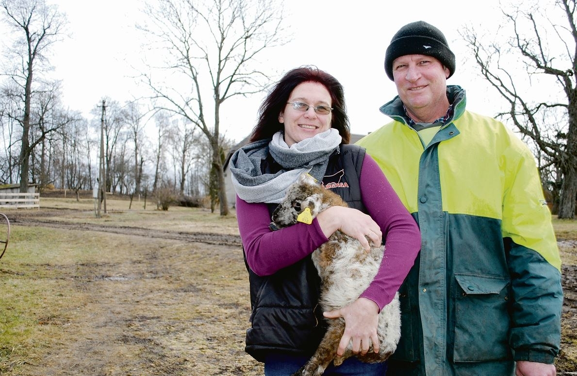 Apie australiškai lietuvišką ūkininkavimą – iš pirmų lūpų