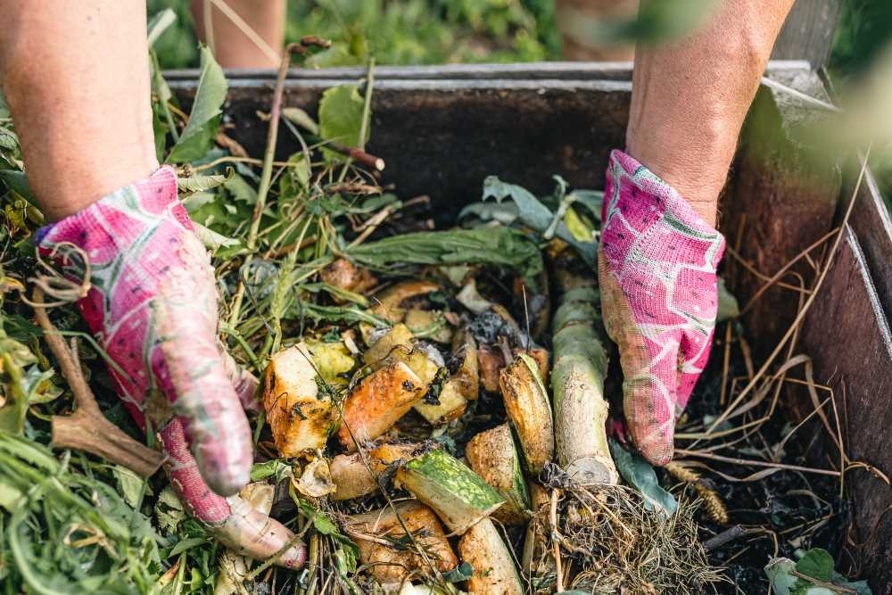 Aplinkai saugus žaliųjų atliekų tvarkymas: svarbiausi žingsniai, kuriuos reikia žinoti