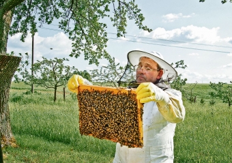 Dėmesys bitėms – ne tik vasarą
