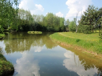 Teismas: žemės sklypo naudojimo sąlygų ir apribojimų laikytis privalu