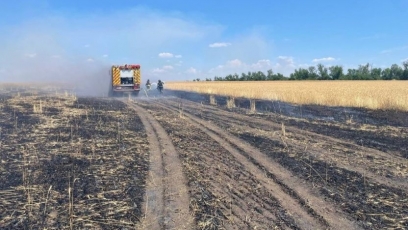 Okupantai pelenais paverčia Ukrainos ūkininkų derlių