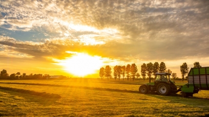Žemės ūkio naudmenų ir pasėlių deklaravimas – kas keičiasi?