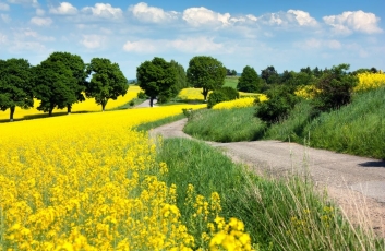 Europos Komisija patvirtino antrąjį Lietuvos žemės ūkio ir kaimo plėtros 2023–2027 m. strateginio plano pakeitimą