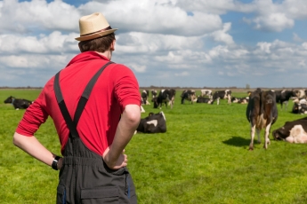 Siūloma švelninti sankcijas ūkininkams gyvulininkystės srityje