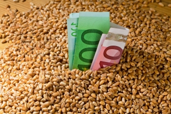 Grūdų eksportuotoja „Agrorodeo“ liepą mokėjo didžiausius atlyginimus