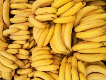 Rusija paskelbė bananų karą Ekvadorui