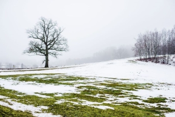 Lietuviškų žiemų šaltumo kaita ir temperatūros rekordai