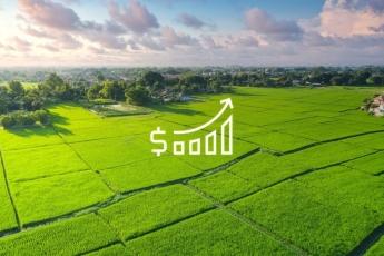 Augo „INVL Baltic Farmland“ pelnas 