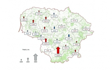 Antra žievėgraužio tipografo generacija trečdaliu gausesnė nei pernai