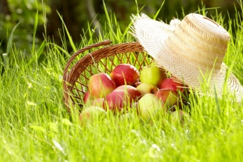 Vasariniai obuoliai
