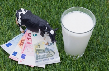 LŽŪBA apie Pieno įstatymą: turėtume įvertinti Ispanijos pavyzdį