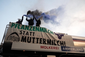 Vokietijos gyvūnų teisių aktyvistai blokavo pieninę
