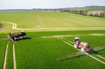 Ekologinis ūkininkavimas ūkio kaimynams lemia didesnį pesticidų poreikį