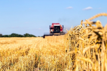Čekija siūlo taikyti ES žemės ūkio rinkos taisykles ir Ukrainai