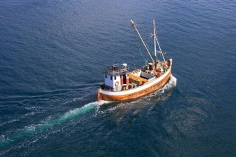 Ar Baltijos jūros žvejai taps – jūrų miškininkais?