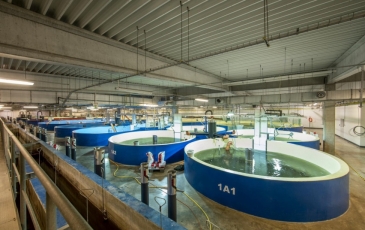 Patikslinti NT kadastro nuostatai skatins akvakultūros pramonės plėtrą