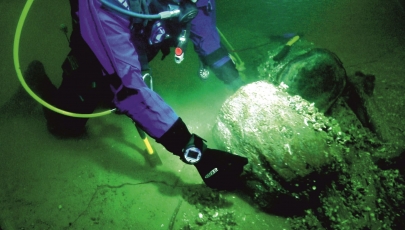 Netikėtas KU mokslininkių radinys: po vandeniu aptiktos 10 tūkst. metų senumo pušys