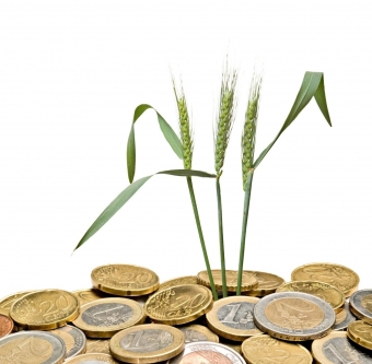 „Linas Agro Group” finansiniai metai: iššūkiai žemės ūkiui ir maisto verslų atsigavimas 