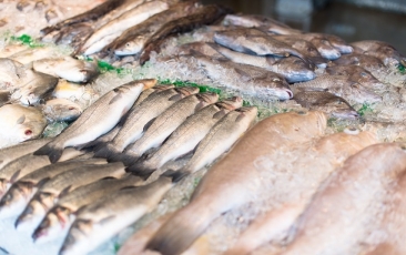 Koncentracija žuvies perdirbimo ir gamybos rinkoje