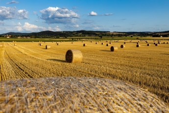 „INVL Baltic Farmland“ pelnas šiemet augo 3,7 proc. iki 226 tūkst. eurų