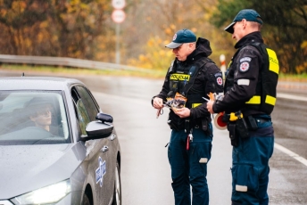 Kasdien daugiau nei 20 susidūrimų su žvėrimis: primename apie pavojus rudenį