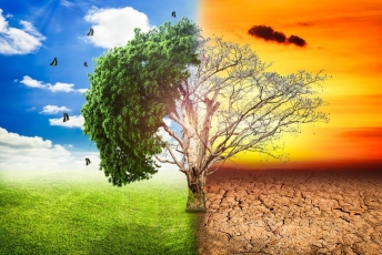 Klimato kaitos neigėjams – įrodymai iš palydovų: 2023-ieji – karščiausi metai