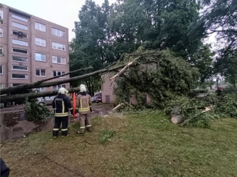 Gelbėtojai 66 kartus vyko šalinti vėjo nulaužtų medžių, elektros neturi 1 769 vartotojai