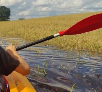 Žemdirbius parklupdė lietus: laukia pagalbos