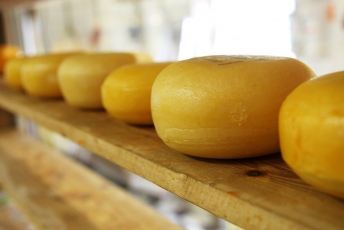 Naujosios Zelandijos „Fonterra“ traukiasi iš „Rokiškio sūrio“